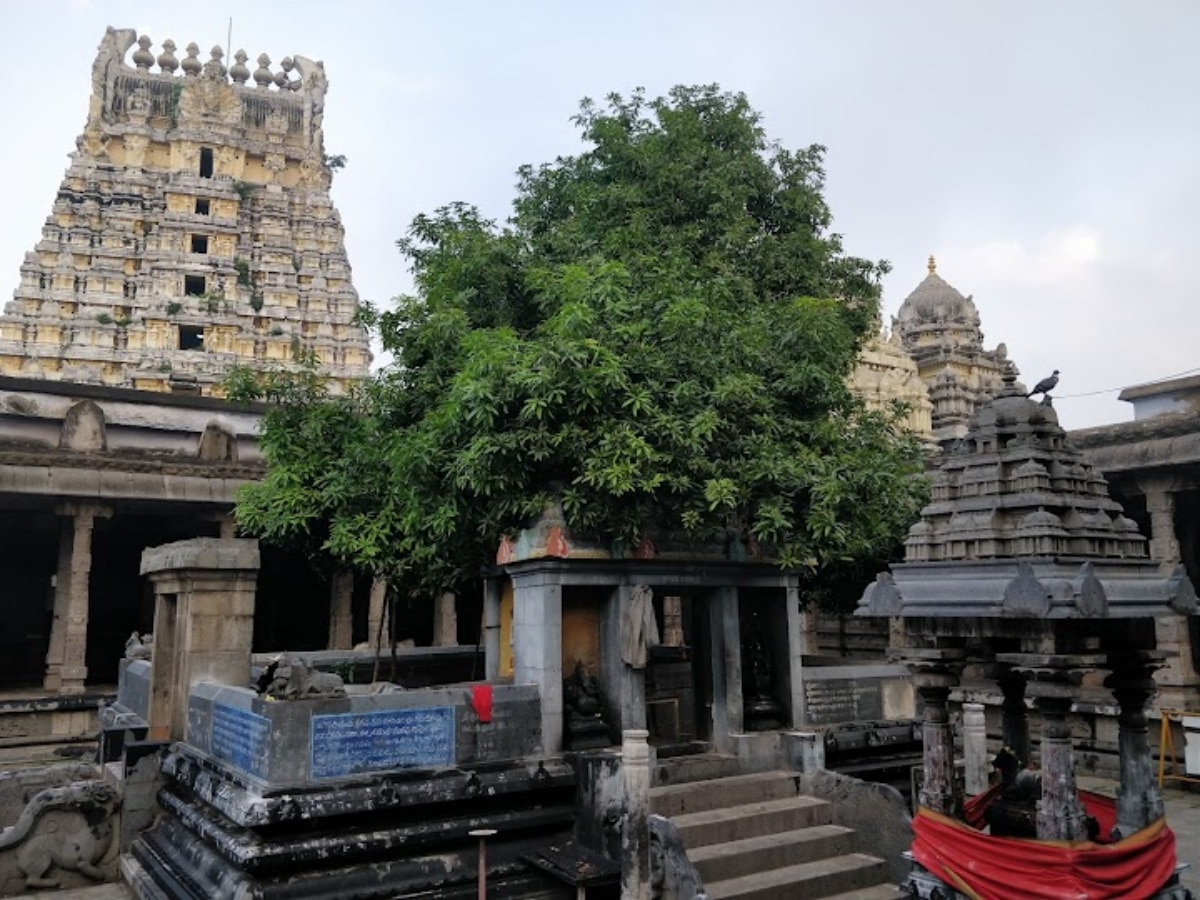 காஞ்சிபுரம் :  திருவிழாவிற்கு லட்சக்கணக்கில் செலவாம்..  அதிர்ச்சி கொடுக்கும் ஆர்.டி.ஐ தகவல்..