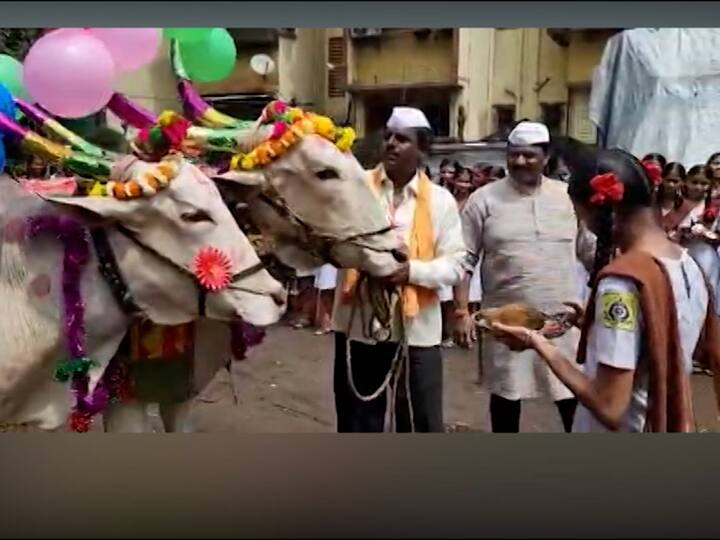 नांदेड जिल्ह्यात या दिवशी बैलाच्या खांद्याला हळद आणि तुपाने शेकतात. त्यांच्या पाठीवर नक्षीकाम केलेली झूल, सर्वांगावर गेरूचे ठिपके, शिंगांना बेगड, डोक्याला बाशिंग, गळ्यात कवड्या आणि घुंगरांच्या माळा, नवी वेसण, नवा कासरा पायात चांदीचे वा करदोड्याचे तोडे घालतात. गोड पुरणपोळी आणि सुग्रास अन्नाचा नैवेद्य दाखविण्यात आला. अशा प्रकारे नांदेड जिल्ह्यातही बैलपोळा सण मोठ्या उत्साहात संपन्न झाला.