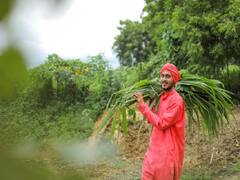 हरा चारा उगाने के लिये किसानों को मिलेगी 1 लाख तक की भारी सब्सिडी, इस तरह उठायें योजना का लाभ