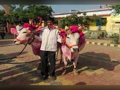 Bail Pola 2022 : महाराष्ट्रात ठिकठिकाणी बैलपोळा उत्साहात साजरा