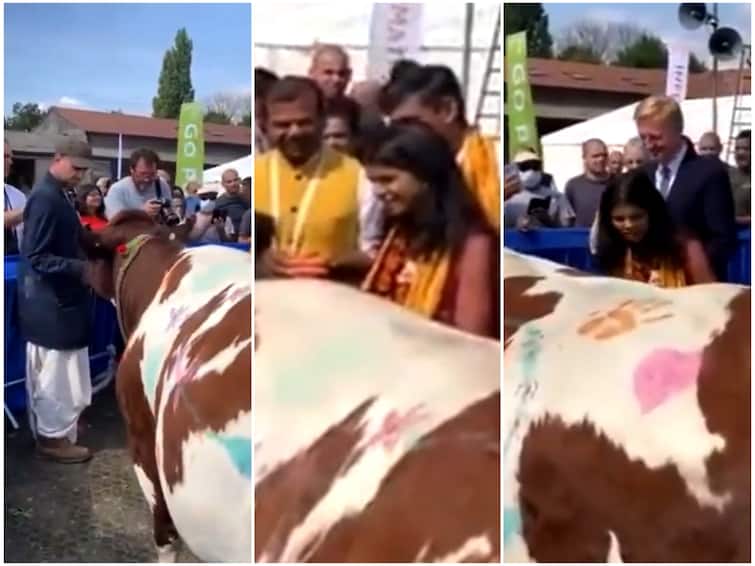 Watch Rishi Sunak Wife Akshata Murthy Perform Gau Pooja In London Watch Video: பசு மாட்டுக்கு கோ பூஜை செய்த இங்கிலாந்து பிரதமர் வேட்பாளர்… வைரலாகும் வீடியோ!