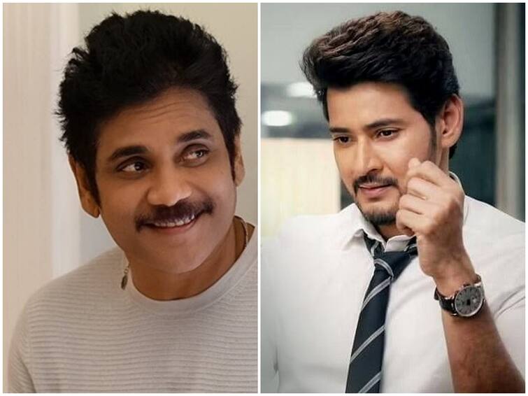 Nagarjuna-Mahesh ’s combo is a huge multistarrer movie! Interesting discussion on social media Nagarjuna, Mahesh Babu: నాగార్జున, మహేష్ బాబు కాంబోలో భారీ మల్టీస్టారర్, కింగ్ ట్వీట్‌తో క్లారిటీ