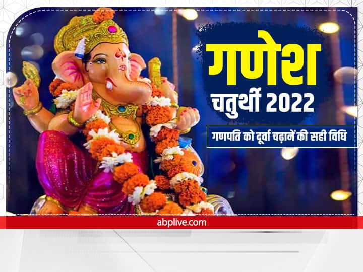 Ganesh Chaturthi 2022: 10 दिवसीय गणेश उत्सव की शुरुआत गणेश चतुर्थी 31 अगस्त 2022 से होगी. गणेश जी की पूजा में दूर्वा का विशेष महत्व है. गणपति को दूर्वा चढ़ाने के भी नियम है आइए जानते हैं.