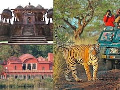 Rajasthan: राजस्थान के रणथंभौर में है कुदरत का खूबसूरत नजारा, इन जगहों पर प्लान करें ट्रिप