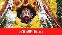 কীভাবে কালিকা থেকে কৃষ্ণবর্ণ দেবী কৌশিকীর সৃষ্টি ? গল্প শুনলে গায়ে কাঁটা দেবে !