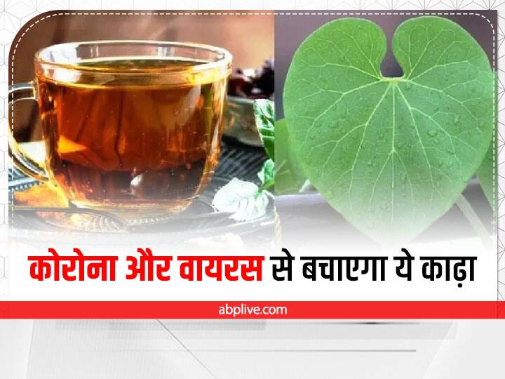 How To Make Giloy Drink And Giloy Kadha At Home Benefits Of Giloy Immunity Booster Drink Health Tips: वायरल और कोरोना से आपके परिवार को बचा देगा ये गिलोय से बना काढ़ा