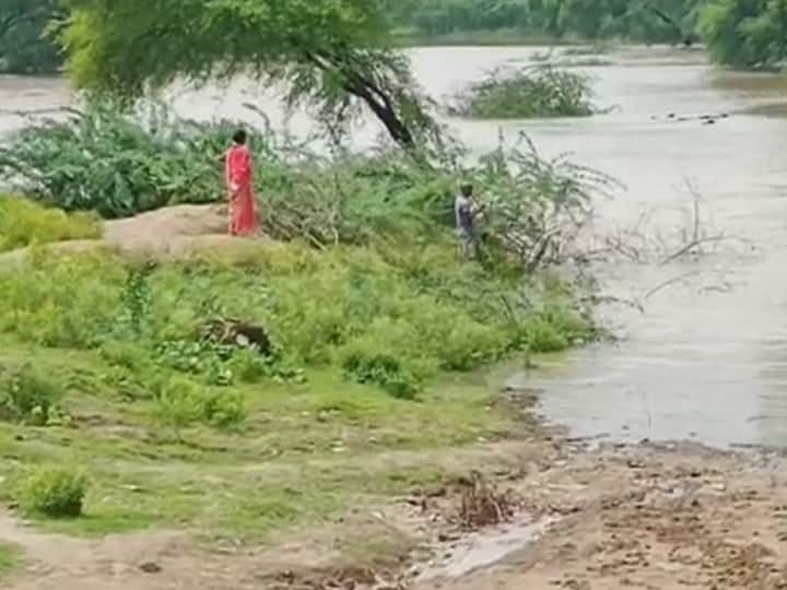 Fatehpur news Yamuna river in spate children going to school risking their lives 25 families fled ANN Fatehpur News: फतेहपुर में यमुना नदी उफान पर, जान जोखिम में डालकर स्कूल जा रहे बच्चे, 25 परिवारों ने किया पलायन