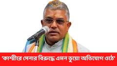 গণধর্ষণকাণ্ডে ২ বিএসএফ জওয়ানের গ্রেফতারি, 'কাশ্মীরে সেনার বিরুদ্ধে এমন ভুয়ো অভিযোগ ওঠে' মত দিলীপের