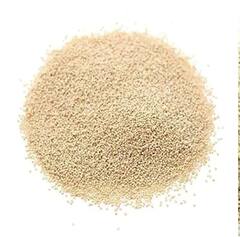 Poppy Seeds: পোস্ত খেতে ভালোবাসেন? খেলে কী হয় জানা আছে?