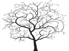 Optical Illusions: ఈ చిత్రంలో అయిదు పక్షులు దాక్కున్నాయి, ఎక్కడున్నాయో వెతికి పట్టుకుంటే మీ చూపు భేష్