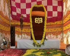 Shrawan 2022: આજે શ્રાવણ મહિનાનો છેલ્લો દિવસ અને શનિશ્વરી અમાસનો યોગ, શિવાલયોમાં ઉમટ્યાં ભક્તો