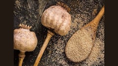 Poppy Seeds: পোস্ত খেতে ভালোবাসেন? খেলে কী হয় জানা আছে?