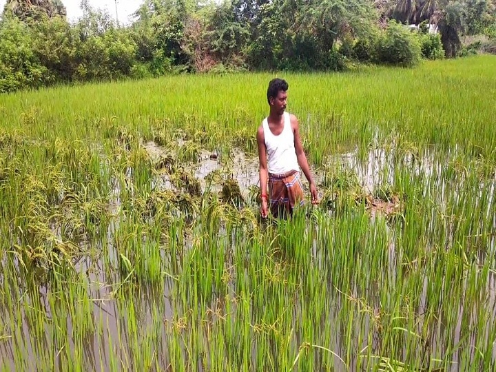 திருவாரூர் அருகே வெண்ணாற்றில் உடைப்பு...ஆற்று நீர்  நிலத்தில் புகுந்ததால் விவசாயிகள் வேதனை..!