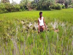 इस राज्य के 500 गांवों के लिए संकट बनी ब्रह्मपुत्र और उसकी सहायक नदियां...वजह हैरान कर देगी