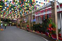 Teeja-Pola 2022: छत्तीसगढ़ में तीज पर मुख्यमंत्री निवास बना बहनों के लिए मायका, जानिए कैसे मनाया जायेगा तीजा- पोला