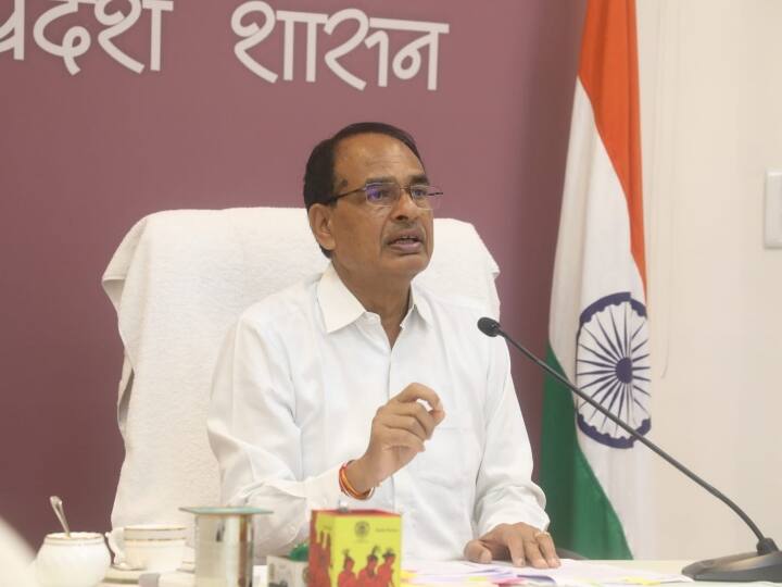 Bhopal Madhya Pradesh CM Shivraj Singh Chouhan scolded Panna collector during review Meeting ANN Bhopal News: पन्ना कलेक्टर की इस बात से भड़के सीएम शिवराज सिंह चौहान, सवाल पूछकर लगाई फटकार