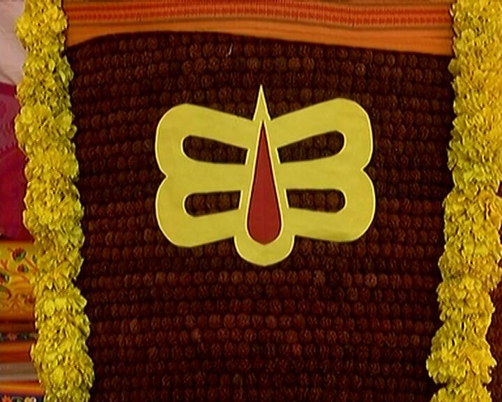 શ્રાવણ મહિનાના અંતિમ દિવસે અમાસ અને શનિવાર હોવાથી તેનું વિશેષ મહત્વ  છે. આ દરમિયાન કેટલાક ખાસ કામ કરવા જોઈએ.