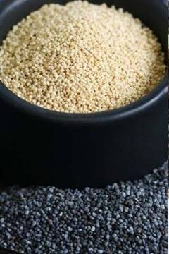 Poppy Seeds: পোস্ত খেতে ভালোবাসেন? খেলে কী হয় জানা আছে?