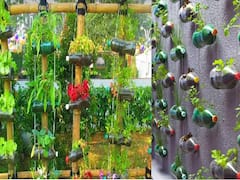 घर को गुलजार बना देंगी प्लास्टिक की खाली बोतलें, इस तरह कम खर्च में शुरू करें वर्टिकल गार्डनिंग