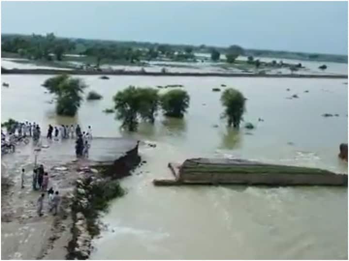 Pakistan Flood Army will be deployed to deal with the flood situation in Pakistan Pakistan Flood: पाकिस्तान में बाढ़ ने मचाई तबाही, बचाव कार्य के लिए अब की जाएगी सेना की तैनाती