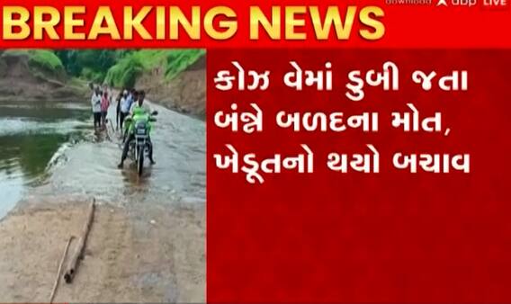 છોટા ઉદેપુરઃ કોઝ વેમાં ખેડૂત સહિત તણાયા બળદ, જુઓ કેવા થયા હાલ?