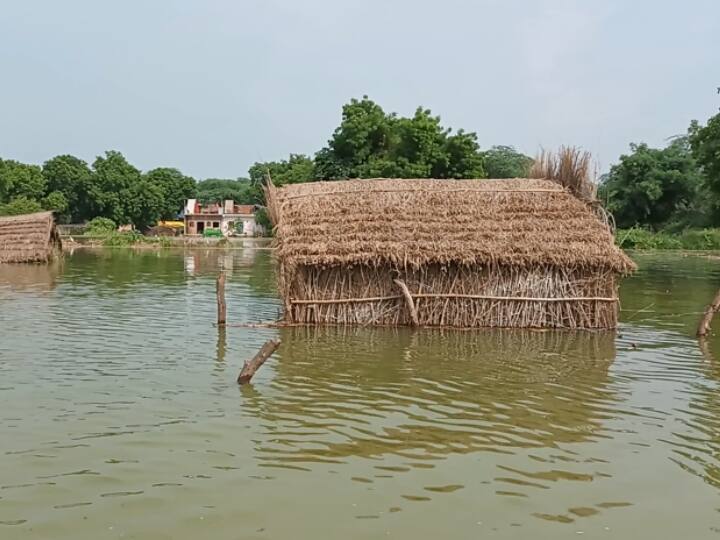 UP News: इटावा के चंबल में आई बाढ़ से जनजीवन प्रभावित, 2 लाख से ज्यादा की आबादी पर असर UP Flood in Etawah Chambal affected life more than 2 lakh population affected ann UP News: इटावा के चंबल में आई बाढ़ से जनजीवन प्रभावित, 2 लाख से ज्यादा की आबादी पर असर