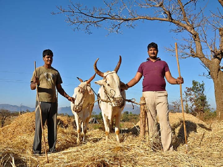 Beware of fraud and Take Precaution While buying cow-buffalo or any milch animal for Dairy Farming Dairy Farming: फर्जीवाड़े से सावधान! गाय-भैंस या कोई भी दुधारू पशु खरीदते समय रखें इन बातों का ध्यान