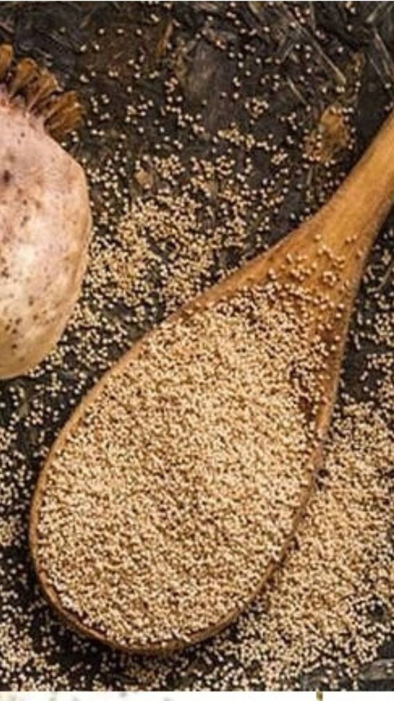 পোস্ত স্বাস্থ্যের জন্য উপকারী নাকি ক্ষতিকর?