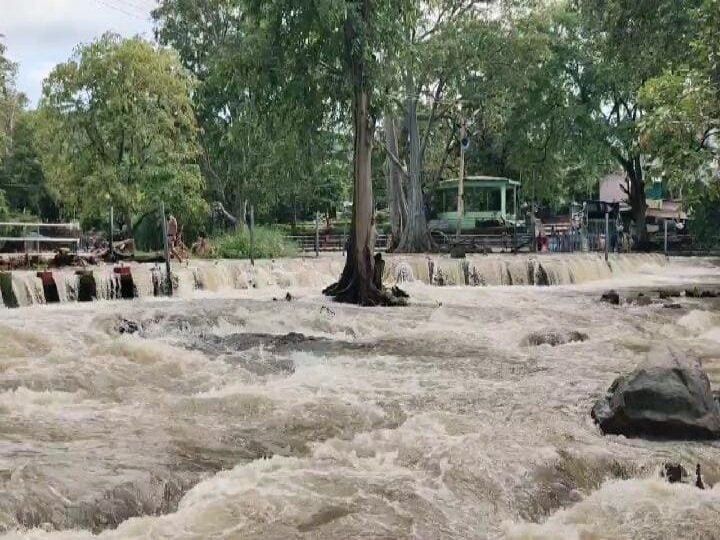 Dharmapuri: ஒகேனக்கல்லில் அருவிகளை மூழ்கடித்த வெள்ளம்..காவிரியில் நீர்வரத்து 70 ஆயிரமாக உயர்வு