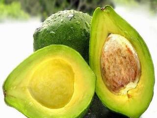 Avocado Benefits : செரிமான பிரச்சனைகள் முதல் இதய ஆரோக்கியம்.. அவகோடா நன்மைகள் இவைதான்..