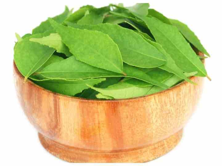 Curry leaf health benefits Weight Loss Tip: વેઇટ લોસ સહિત આ સમસ્યાને દૂર કરે છે મીઠો લીમડો, આ રીતે કરો સેવન