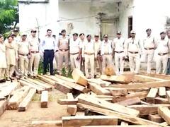 बड़वानी में कारखाने पर रेड, 30 लाख की सागवान की लकड़ी जब्त, महाराष्ट्र से की गई थी तस्करी
