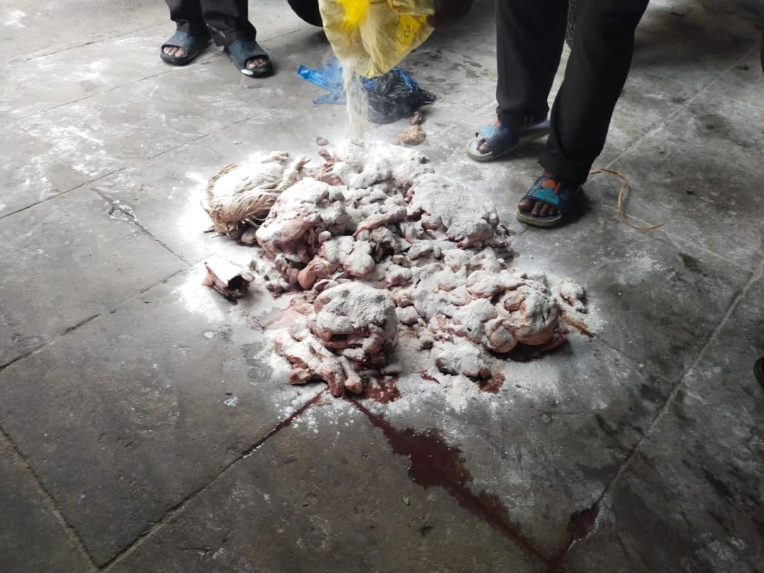 Vijayawada corporation officials identified rotten chicken mutton sells in shops DNN Vijayawada News : నాన్ వెజ్ ప్రియులకు షాకింగ్ న్యూస్, కుళ్లిన మాంసం విక్రయిస్తున్న వ్యాపారులు!