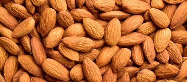 ਪ੍ਰੋਟੀਨ ਅਤੇ ਫਾਈਬਰ ਨਾਲ ਭਰਪੂਰ ਚੀਜ਼ਾਂ ਖਾਣ ਨਾਲ ਤੁਹਾਨੂੰ ਲੰਬੇ ਸਮੇਂ ਤਕ ਭੁੱਖ ਨਹੀਂ ਲੱਗਦੀ। ਬਦਾਮ ਖਾਣ ਨਾਲ ਤੁਹਾਡੀ ਭੁੱਖ ਪੂਰੀ ਹੋ ਜਾਵੇਗੀ।