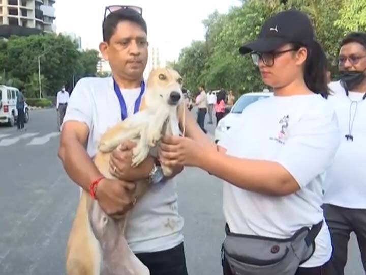 Noida Super tech Twin Towers demolition NGOs engaged in rescuing street dogs watch video Noida Twin Towers: कुछ ही देर में ध्वस्त हो जाएगा नोएडा ट्विन टावर, आवारा कुत्तों की जान बचाने में जुटे NGO, देखें वीडियो