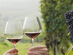National Red Wine Day 2022: Did Wine Really Originate In Italy? Know Its Fascinating History