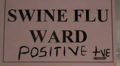 ભાવનગરઃ સ્વાઈન ફ્લૂના કેસમાં વધારો, અત્યાર સુધી કેટલા લોકોએ ગુમાવ્યા જીવ?