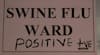 ભાવનગરઃ સ્વાઈન ફ્લૂના કેસમાં વધારો, અત્યાર સુધી કેટલા લોકોએ ગુમાવ્યા જીવ?