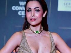 जब ये बात सुनकर भड़क गई थीं Malaika Arora, कहा था- Salman Khan ने मुझे नहीं बनाया , सेल्फ मेड हूं