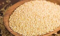 Health Tips : ਸਵੇਰੇ ਇਕ ਗਲਾਸ ਦੁੱਧ 'ਚ ਮਿਲਾ ਕੇ ਪੀ ਲਓ ਖਸਖਸ ਦੇ ਦਾਣੇ, ਸਿਹਤ ਨੂੰ ਹੋਣ ਵਾਲੇ ਫਾਇਦੇ ਜਾਣ ਕੇ ਹੋ ਜਾਓਗੇ ਹੈਰਾਨ