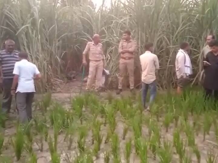 Basti Uttar Pradesh Honour Killing body of 18 year old youth found in sugarcane field police investigation ANN Basti Crime News: बस्ती में ऑनर किलिंग की सनसनीखेज वारदात से हड़कंप, पुलिस ने शव को कब्र से बाहर निकाला