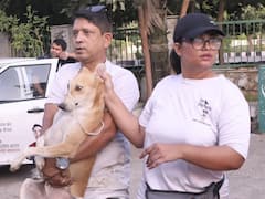 ट्विन टावर ढहाए जाने से पहले 40 लावारिस कुत्तों को किया गया स्थानांतरित, NGO ने उठाया जिम्मा