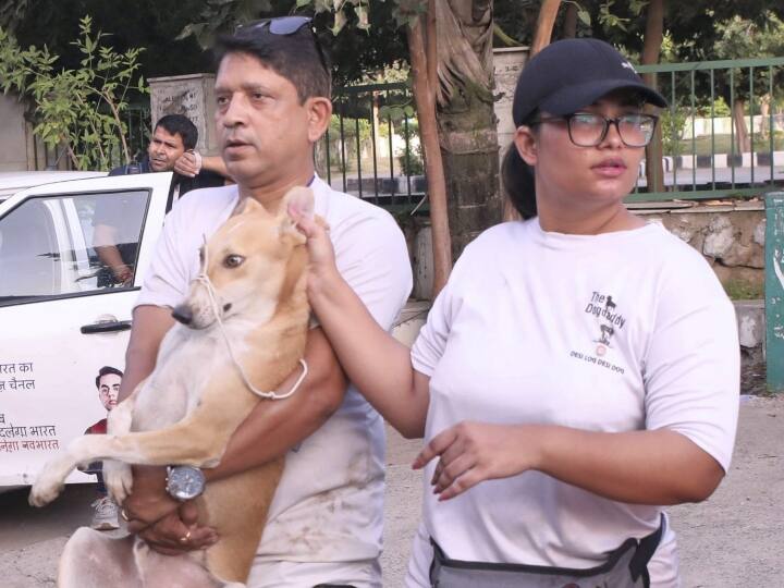 Noida Twin Tower Demolition: 40 Unclaimed Dogs Relocated Before Twin Tower Demolition, NGO Takes Up The Responsibility Noida Twin Tower Demolition: ट्विन टावर ढहाए जाने से पहले 40 लावारिस कुत्तों को किया गया स्थानांतरित, NGO ने उठाया जिम्मा