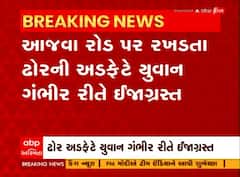 Vadodara: રખડતા ઢોરનો ત્રાસ યથાવત, ઢોરની અડફેટે યુવાન ગંભીર રીતે ઈજાગ્રસ્ત