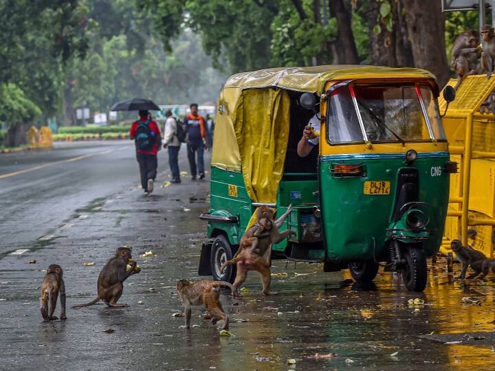delhi ncr weather update Delhi-NCR temperature drops rain in delhi दिल्ली-एनसीआर के तापमान में गिरावट, बारिश के बाद मौसम हुआ सुहाना, सड़कों पर गाड़ियों की रफ्तार हुई धीमी