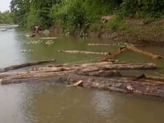 'पुष्पा' स्टाइल में कर रहे थे सागौन की लकड़ियों की तस्करी, पुलिस ने किया चार को गिरफ्तार