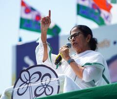 'ভারতবর্ষের একমাত্র সাচ্চা, আদর্শবান পার্টি তৃণমূল', মন্তব্য মমতার