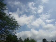 कहीं तेज बारिश तो कहीं तेज धूप ने बढ़ाई परेशानी, मौसम विभाग ने जताई ये आशंका, जानिए-आगे कैसा रहेगा मौसम