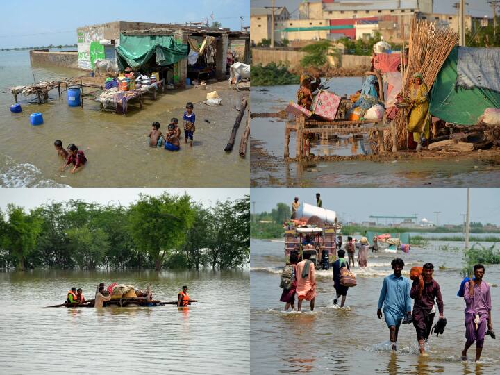 Pakistan Flood: पाकिस्तान में आये बाढ़ के कारण सब्जियों और फलों की कीमतों में वृद्धि के बीच पाकिस्तान सरकार ने भारत से टमाटर और प्याज का आयात कर सकती है. पाकिस्तानी मीडिया ने यह जानकारी दी है.