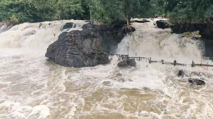 dharmapuri: hogenakkal Falls Flooding at Continued ban on tourists ஒகேனக்கல் அருவியில் வெள்ளப்பெருக்கு; சுற்றுலாப் பயணிகளுக்கு தொடரும் தடை